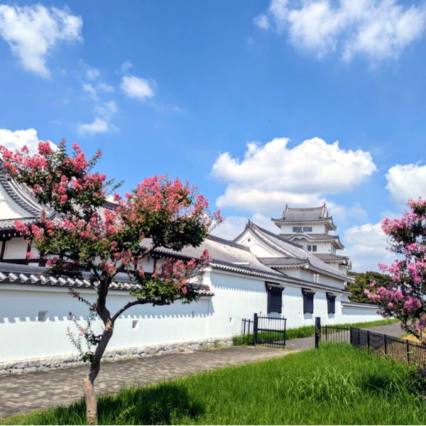 初夏の関宿城