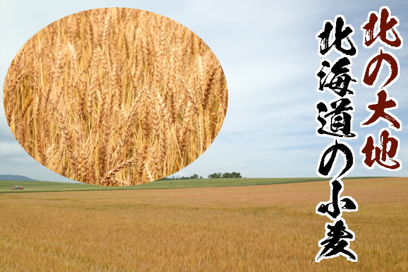 国産原料：北海道産小麦を使用